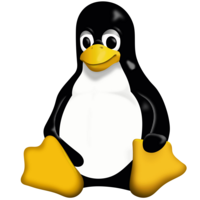 Adora Linux consulting